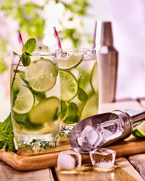 On wooden boards is glasses with mohito and shaker . — Stock Photo, Image