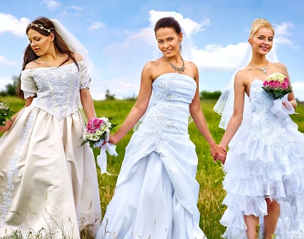 Group bride  summer outdoor. — Stock Photo, Image