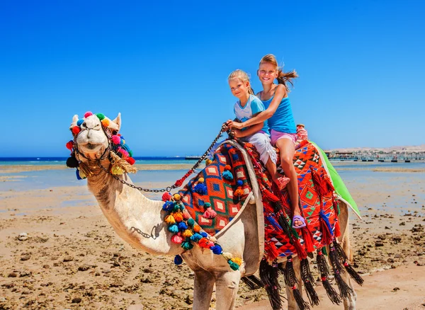 Turisták lovaglás teve a beach Egyiptom. — Stock Fotó