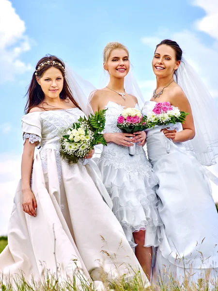 Group of brides in summer outdoor. — Stock Photo, Image