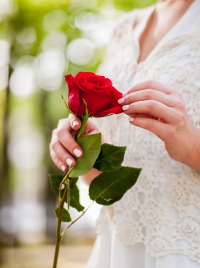 kırmızı gül ile gelin el