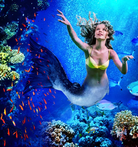 Mermaid dive underwater through coral . — Stock Photo, Image