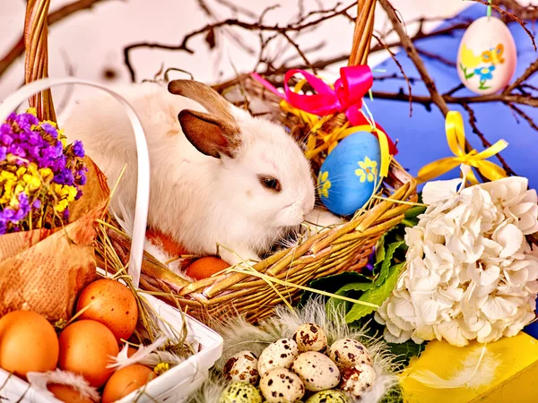 Bodegón de Pascua con huevos y conejo en cesta . —  Fotos de Stock