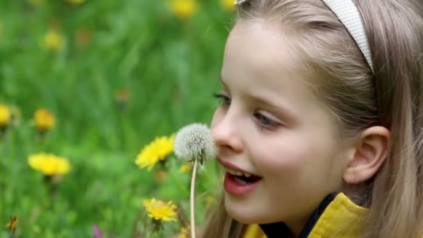 Child blowing on dandelion in park outdoor. — Stock Video