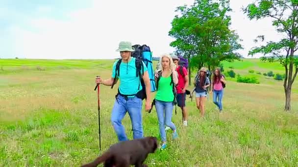 Gruppenmitglieder auf Reisen. — Stockvideo