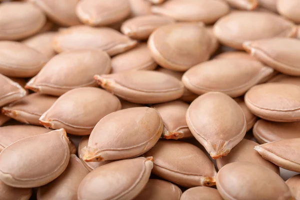 Close up of pumpkin seeds — Stock Photo, Image