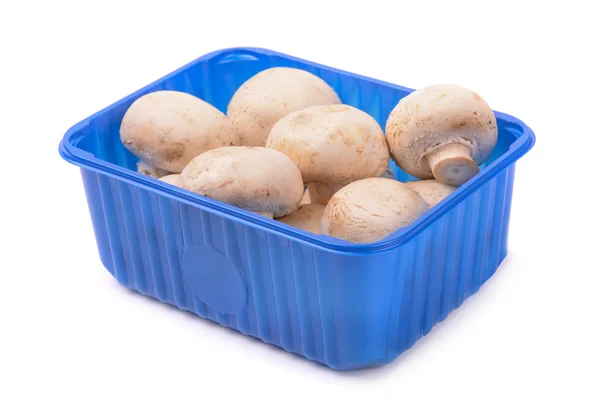 Cogumelos em caixa de plástico — Fotografia de Stock