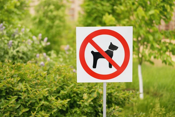 Kein Hunde-Schild — Stockfoto