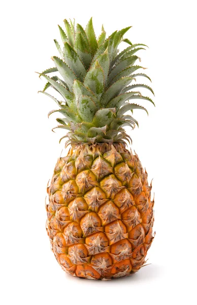 Mogen ananas isolerade — Stockfoto