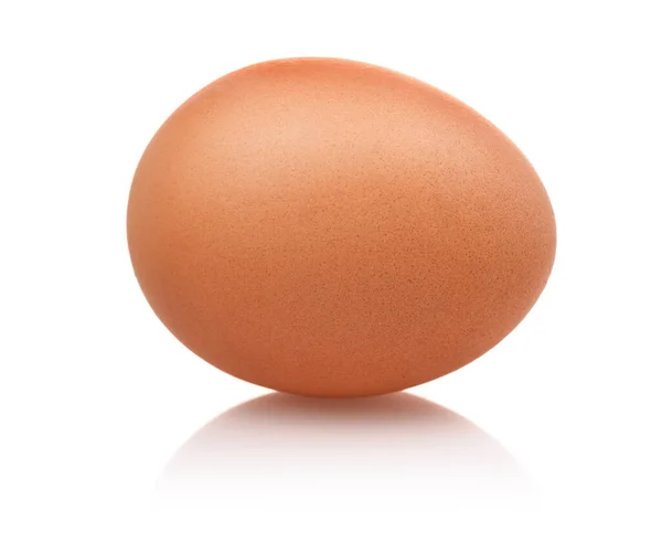 Single Brown Egg Isolated White — Stock Photo, Image