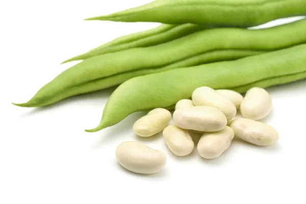 White beans — Stock Photo, Image