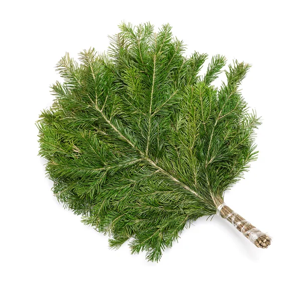 Juniper broom — Stock Photo, Image