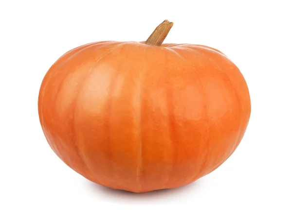 Whole pumpkin isolated — Stock Photo, Image