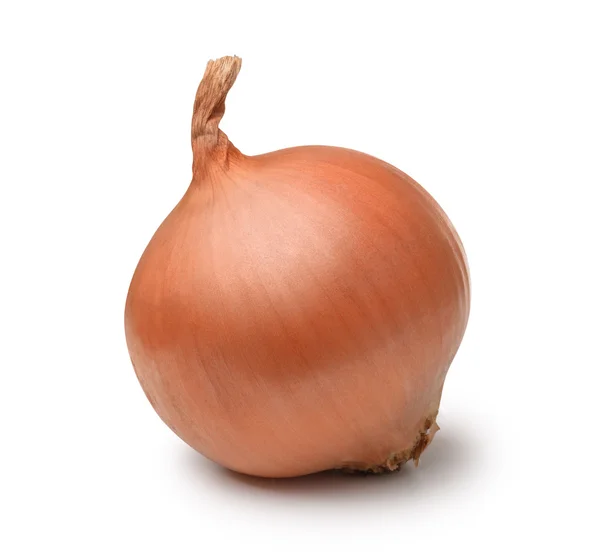 Ripe onion bulb — Stock Photo, Image