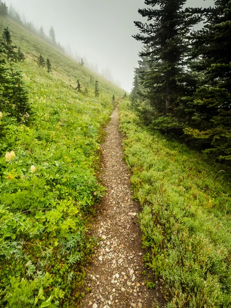 Caminho reto e estreito — Fotografia de Stock