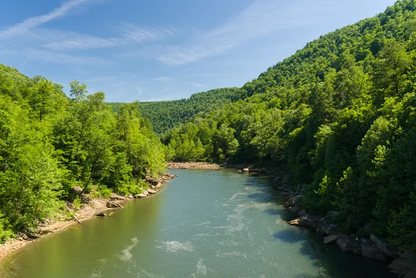 Vista de Cheat River da ponte de Jenkinsburg — Fotografia de Stock