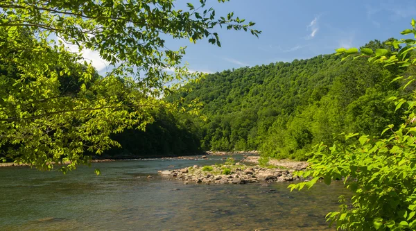 Uitzicht op de rivier van de Cheat van Jenkinsburg Bridge — Stockfoto