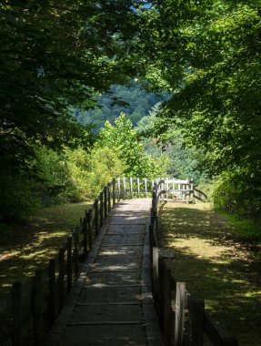 Yol kenarındaki dinlenme alanı ve overlook Tennessee