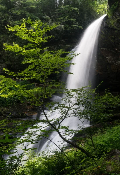 Suche Falls wodospad w pobliżu Highlands Nc — Zdjęcie stockowe