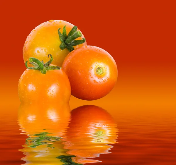 Macro image of three home grown tomatoes — Stock Photo, Image