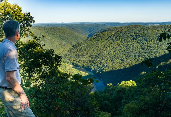 Uitzicht vanaf Overlook in slang Hill Wma in Wv — Stockfoto