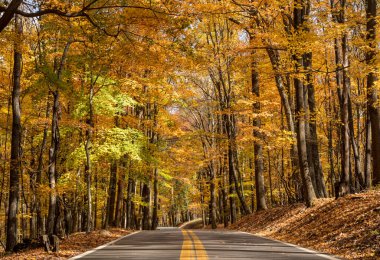 Batı Virginia 'da sonbahar renkleriyle birlikte Coopers Rock Eyalet Parkı' na giden yol