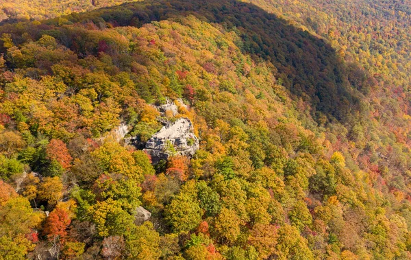 Cooper 'lar Rock Eyalet Parkı Batı Virginia' daki Aldatmaca Nehri 'ne sonbahar renkleriyle bakıyor — Stok fotoğraf