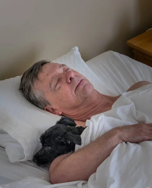 Senior caucasian man and his pet dog asleep in bed illustrating friendship of animals in old age
