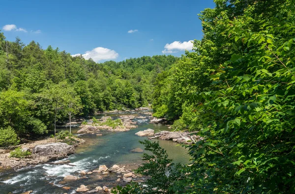 Fiume scorre in Audra State Park vicino a Buckhannon in West Virginia — Foto Stock