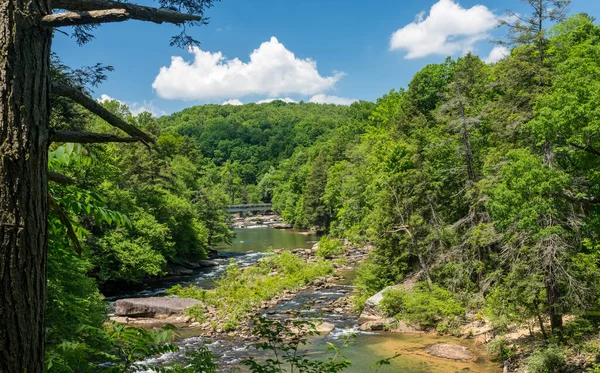 Řeka teče v Audra State Park poblíž Buckhannon v západní Virginii — Stock fotografie