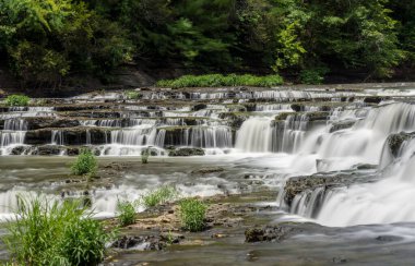 Burgess Falls Eyalet Parkı Tennessee 'de yazın