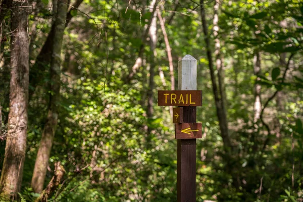 Trail signpost na floresta mostrando o caminho no caminho — Fotografia de Stock