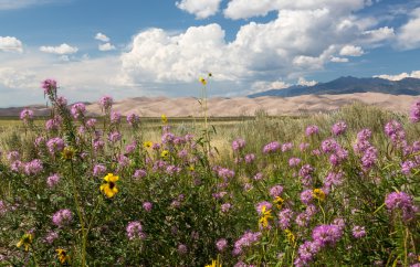 Great Sand Dunes NP Panoraması 