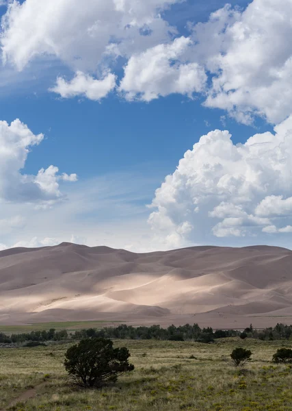 People on Great Sand Dunes NP — Stock Photo, Image