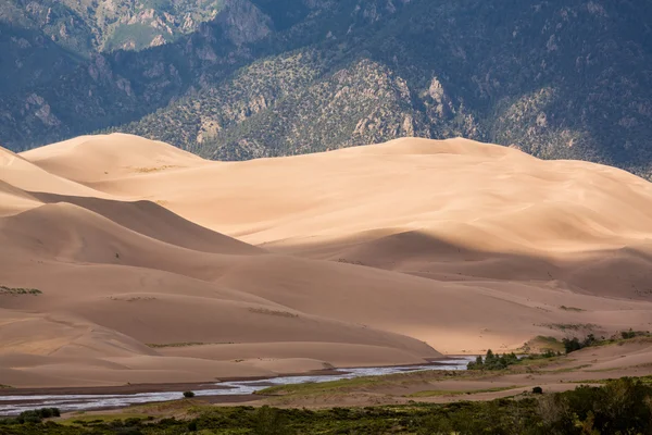 Detail of Great Sand Dunes NP — Stock Photo, Image