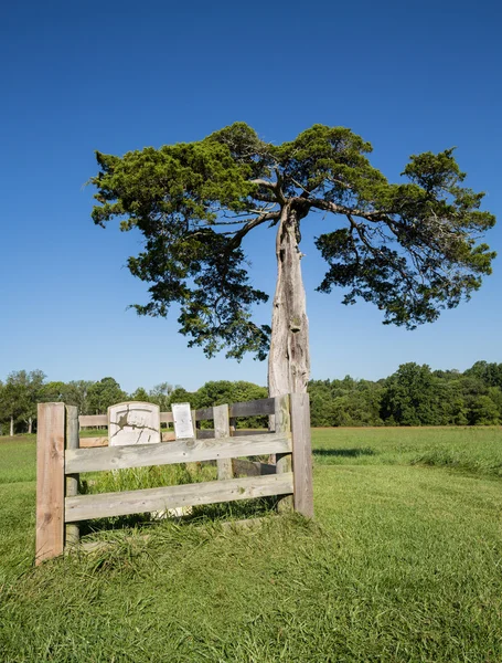 Appomattox county courthouse Nationaalpark — Stockfoto