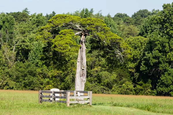 Appomattox krajský soud národní park — Stock fotografie