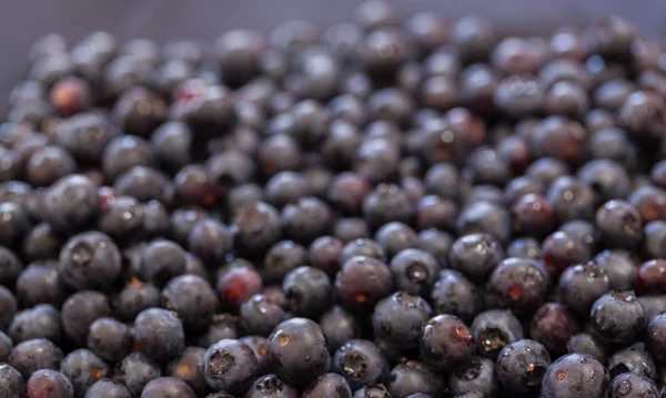 Macro shot of Blueberries — Stock Photo, Image