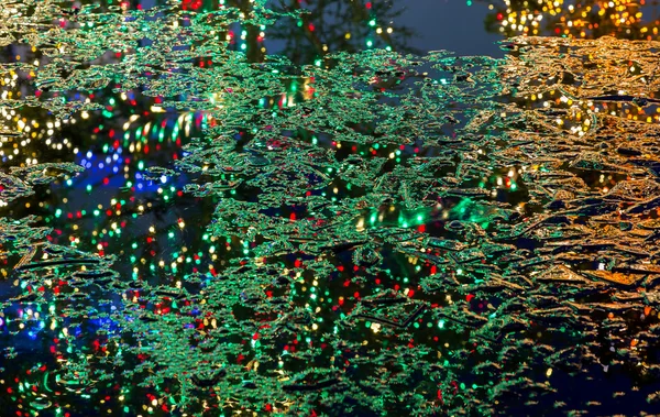 Reflexão de árvores de Natal em lagoa congelada — Fotografia de Stock