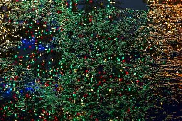 Reflexão de árvores de Natal em lagoa congelada — Fotografia de Stock