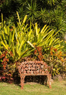 Tropik çiçekler dökme demir koltuk korkutur