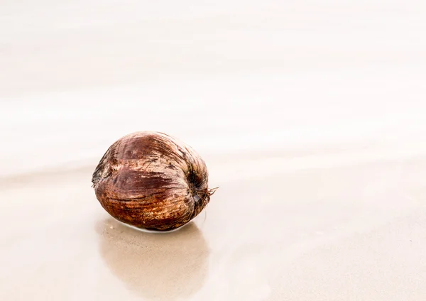 Coconut floating in very calm shallow sea — Stock Photo, Image