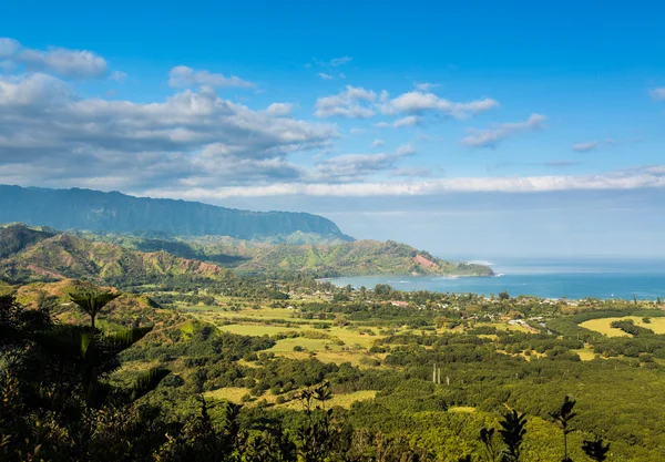 Widok z Hanalei z Okolehao szlak Kauai — Zdjęcie stockowe