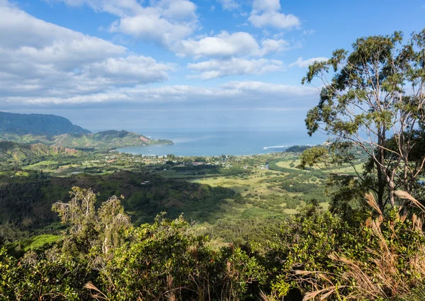 View of Hanalei from Okolehao Trail Kauai — Stock Photo, Image