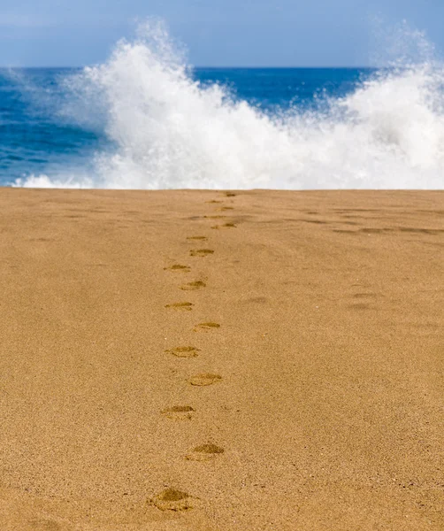 Sandy beach with footsteps to water — Stock Photo, Image