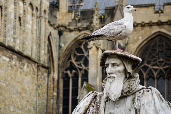 Möwe thront auf geschnitzter Statue eines Gelehrten — Stockfoto