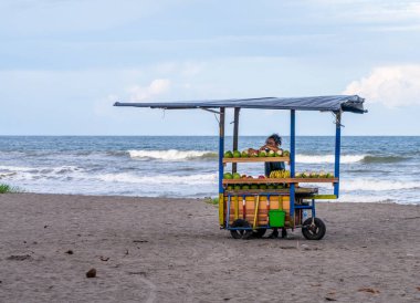 Tortuguero, Kosta Rika - 8 Kasım 2025: Tortuguero sahilinde taze hindistan cevizi suyu satan sokak satıcısı