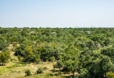 Teksas 'taki Austin şehir merkezindeki Lady Bird Johnson kır çiçeği merkezine doğru vahşi yaşam rezervlerini izleyin.