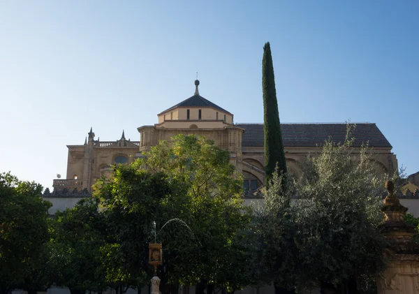 Mosquée-cathédrale de Cordoue en Espagne — Photo