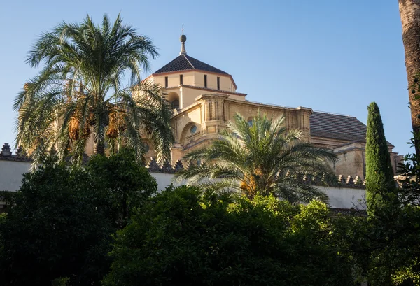 Мечеть-собор Кордовы в Испании — стоковое фото